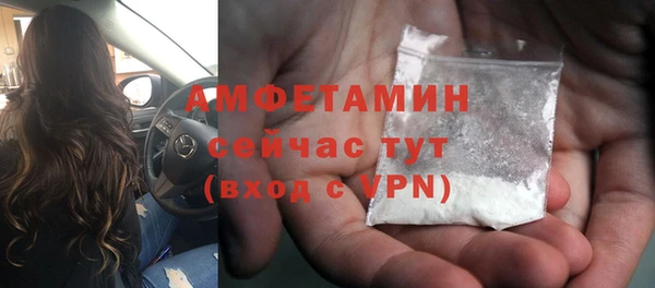 молекула духа Осташков