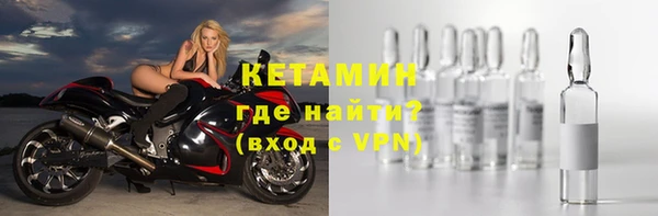 молекула духа Осташков