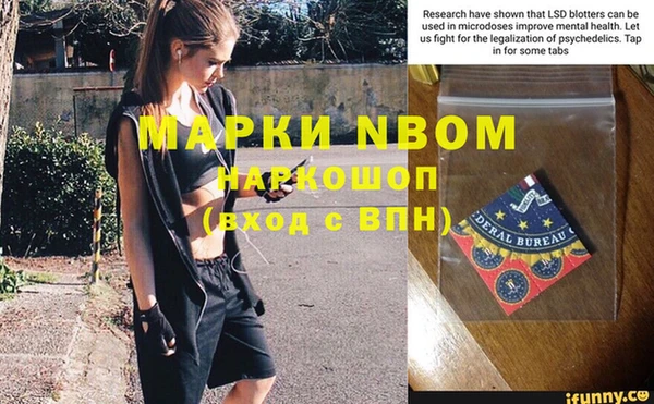 молекула духа Осташков