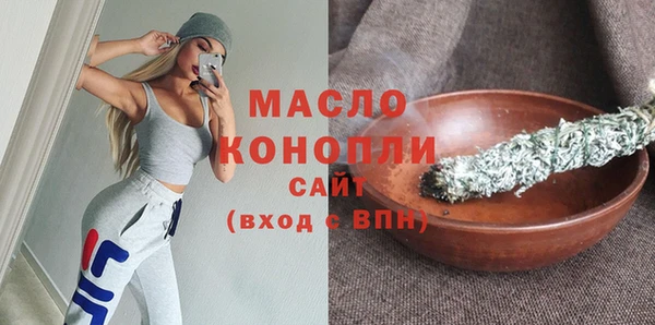 молекула духа Осташков