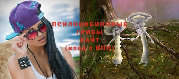 молекула духа Осташков