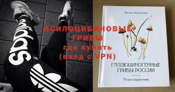 молекула духа Осташков