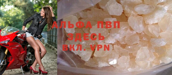 молекула духа Осташков
