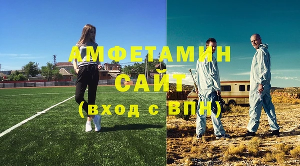 молекула духа Осташков